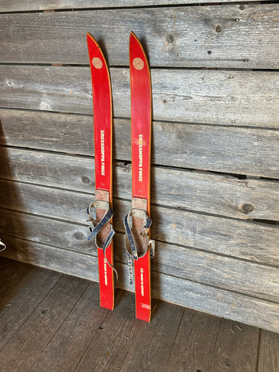 Norwegian Gresshoppa Childs Skis