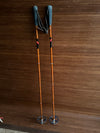 Classic Bamboo Ski Poles - Splitkein